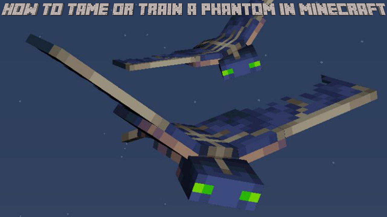 How To Tame Or Train A Phantom In Minecraft Hitech Panda